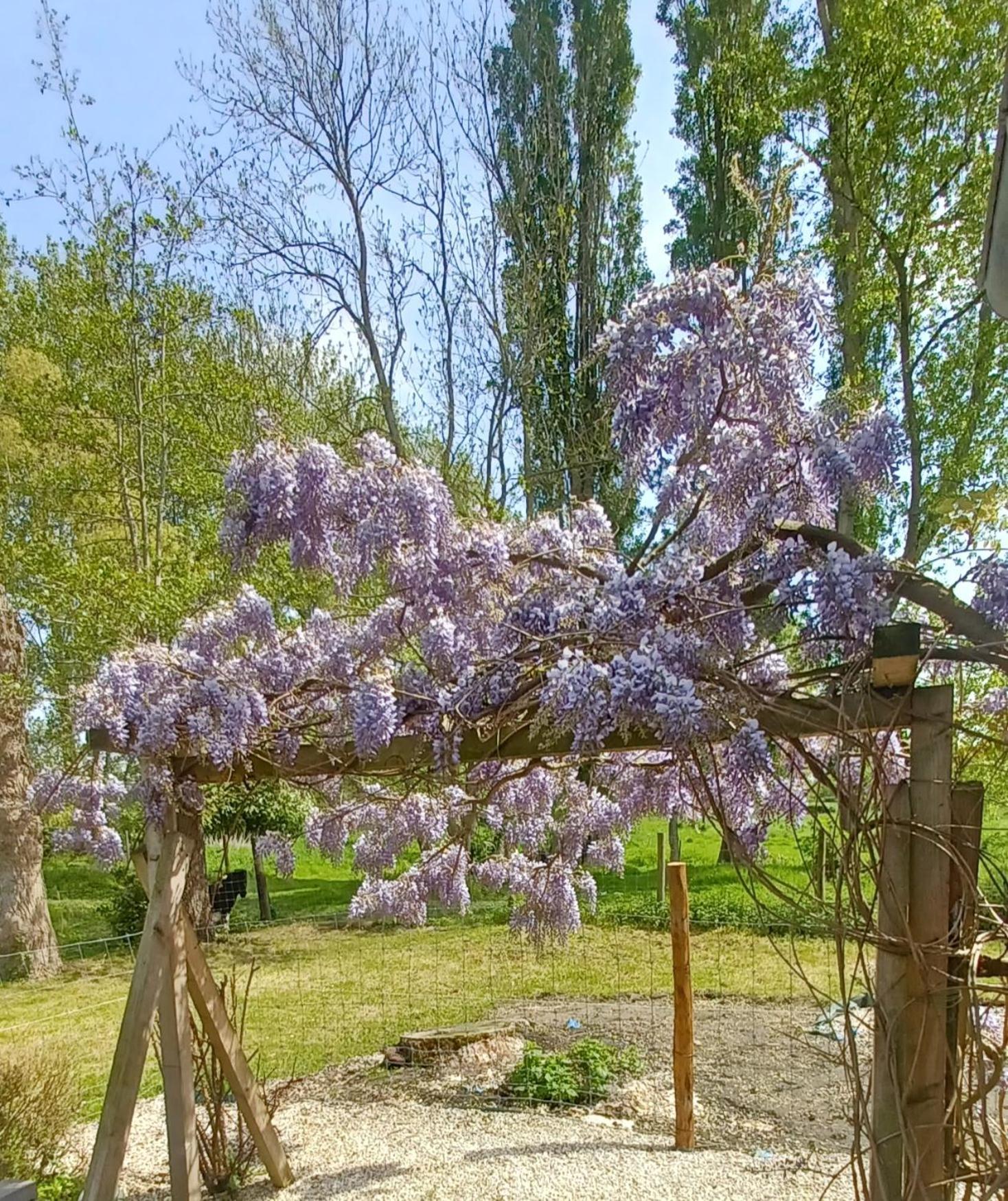 Nature Et Moi Wittes Экстерьер фото